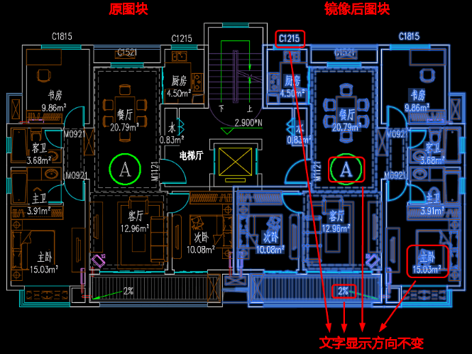 块内镜像