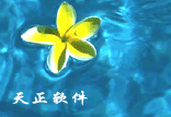 天正软件—经营管理系统 T-OM